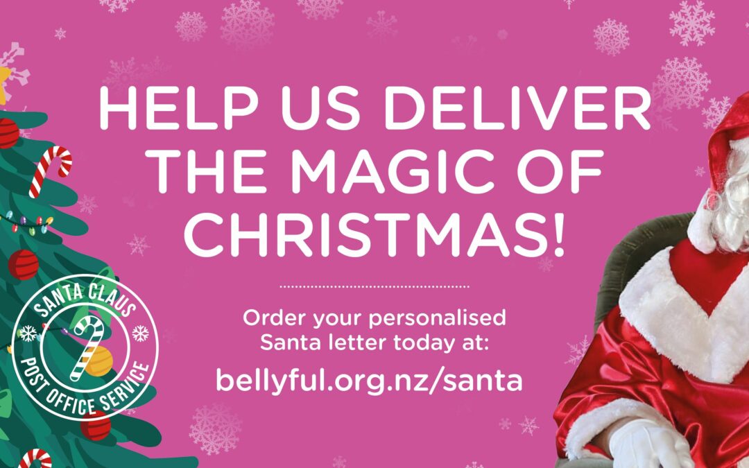 Santa raising funds for Bellyful with letter writing campaign