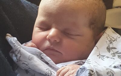 Comfort Food: The Power of Kindness and Kai
